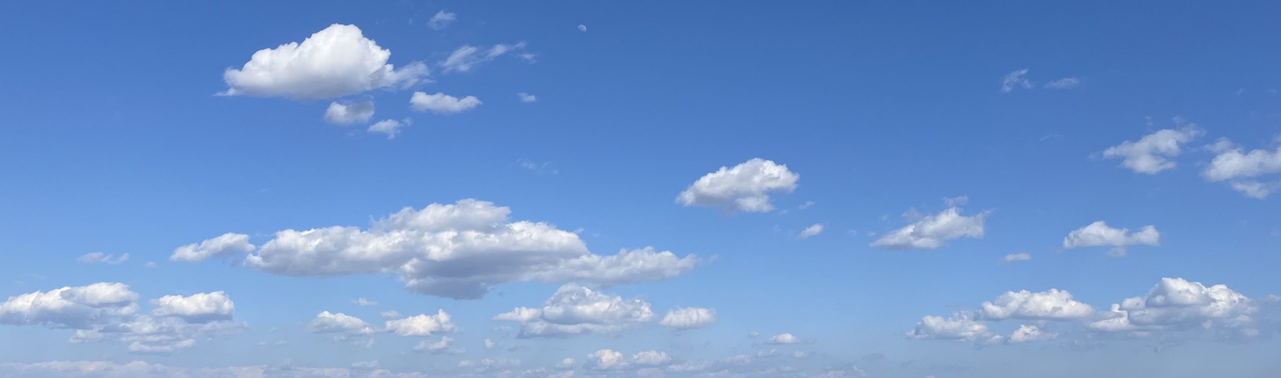 MONOVO【薬用育毛剤】和漢って何?育毛剤と発毛剤の違いは何?